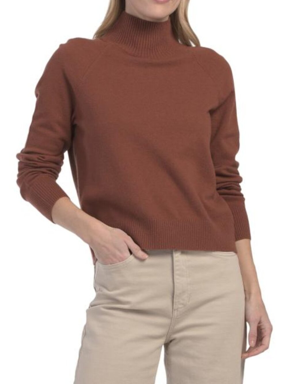 VINCE Wool Blend Raglan Turtleneck